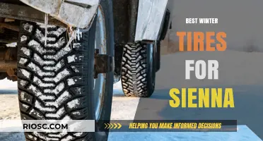 Top Winter Tire Picks for Your Sienna: Stay Safe and Stylish on Snowy Roads