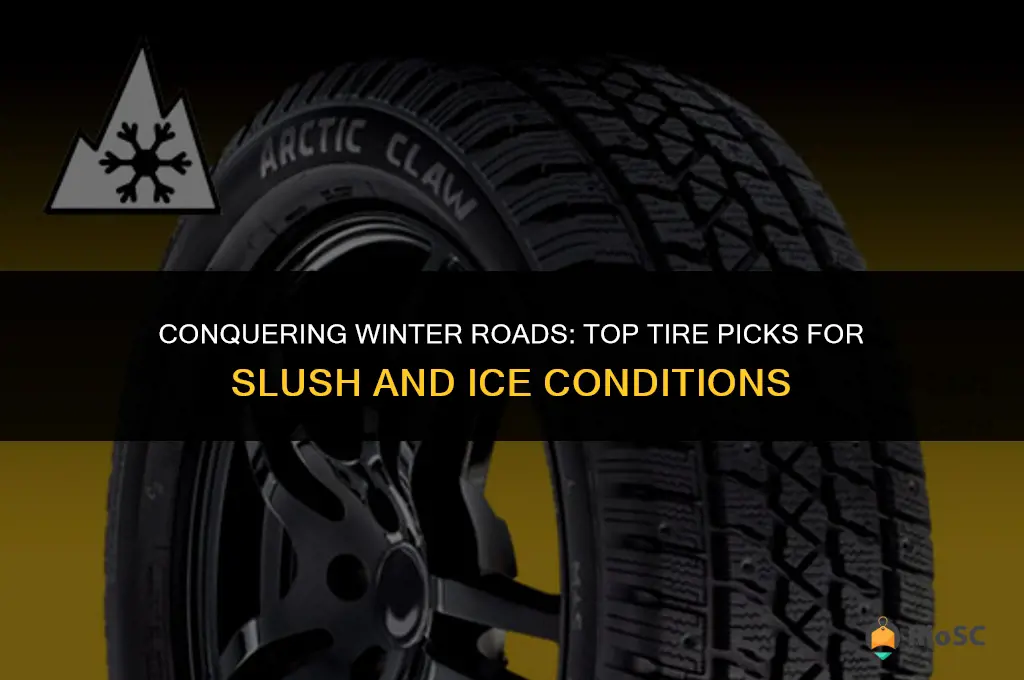 best winter tires for slush and ice