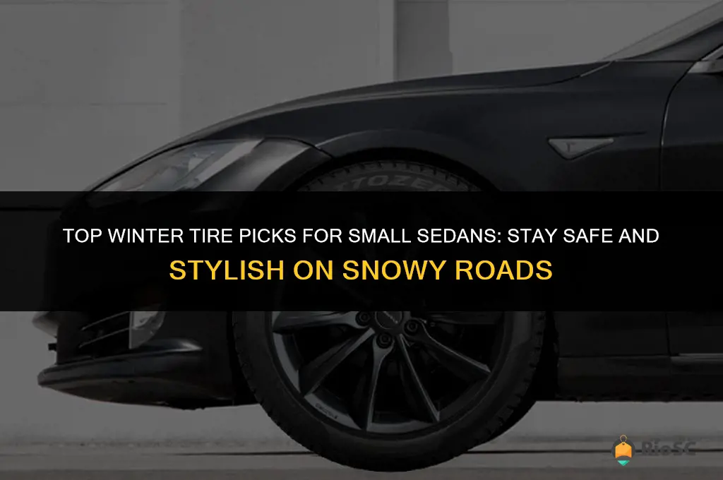 best winter tires for small sedans