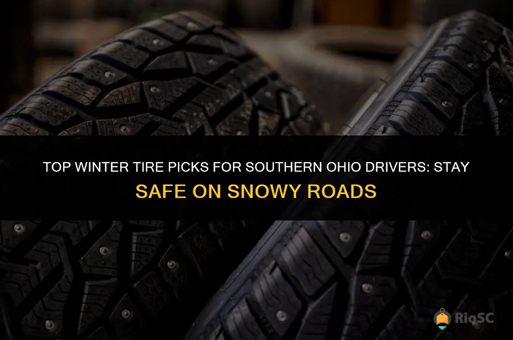 best winter tires for southern ohio