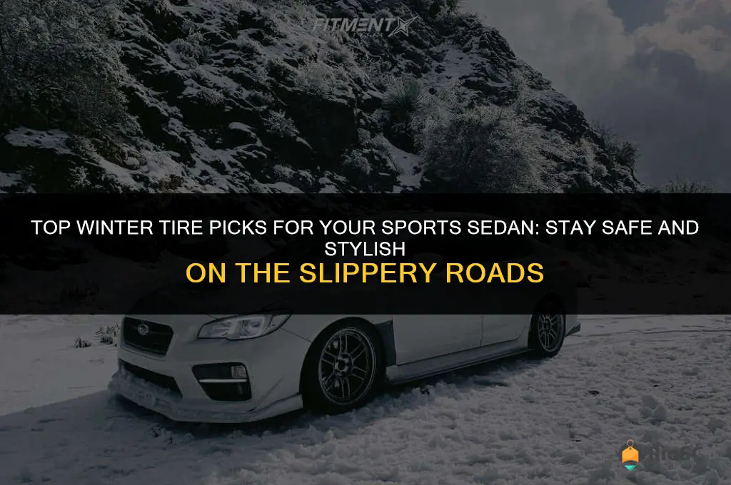 best winter tires for sports sedan