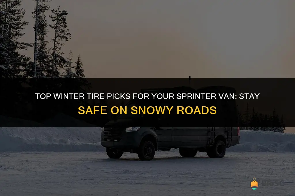 best winter tires for sprinter van