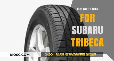 Top Winter Tire Picks for Subaru Tribeca: Stay Safe and Stylish on Snowy Roads