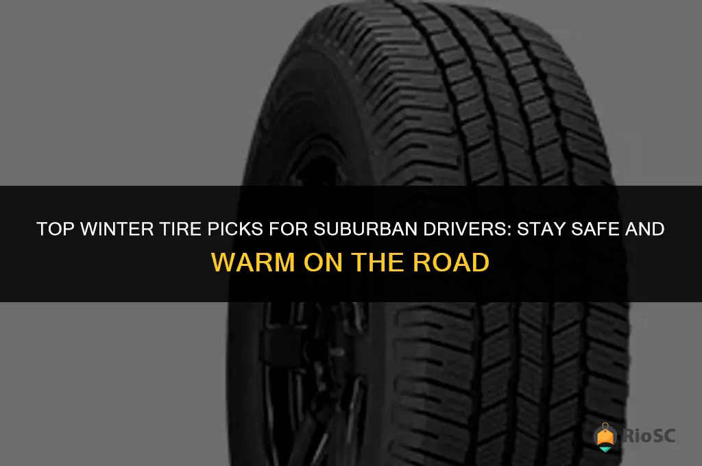 best winter tires for suburban