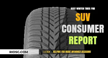 Top-Rated Winter Tires for SUVs: A Consumer's Guide to Safe and Reliable Performance