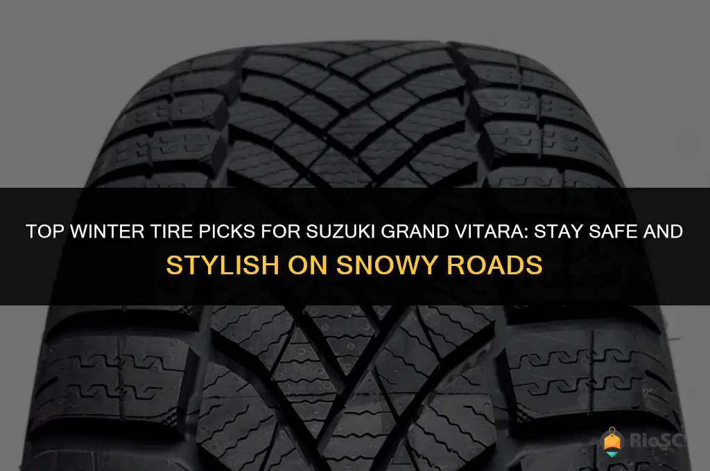 best winter tires for suzuki grand vitara