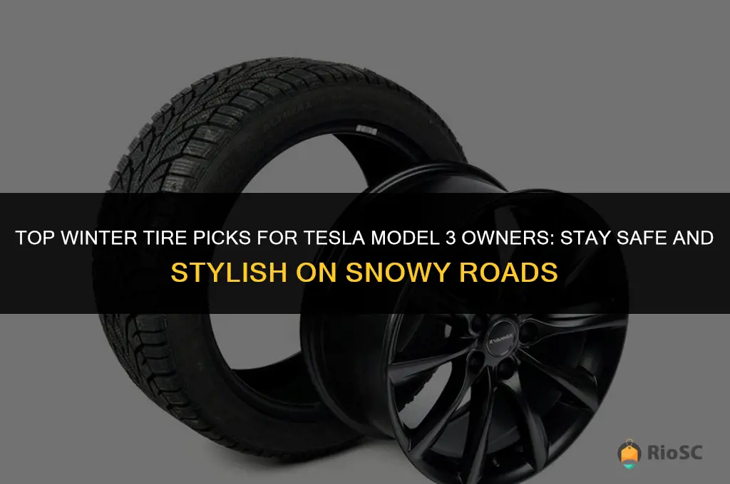 best winter tires for tesla model 3