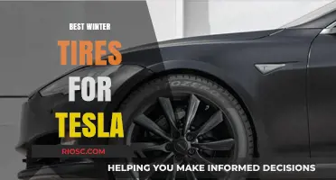 Top Winter Tire Picks for Tesla Owners: Stay Safe and Stylish on Snowy Roads