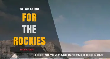 Conquering the Rockies: Top Winter Tires for Unmatched Traction and Safety