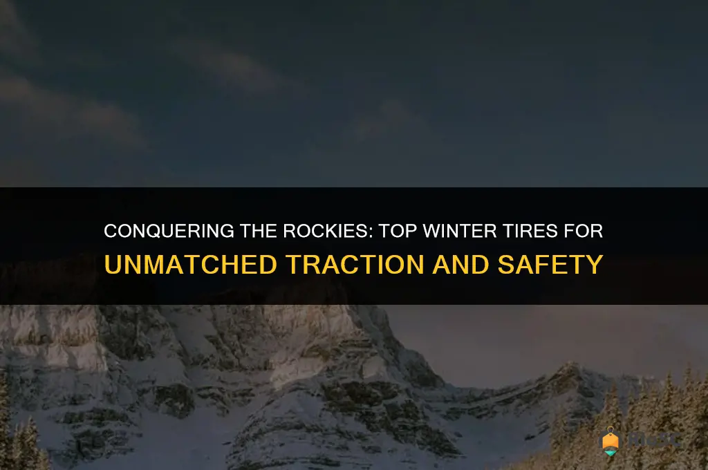best winter tires for the rockies