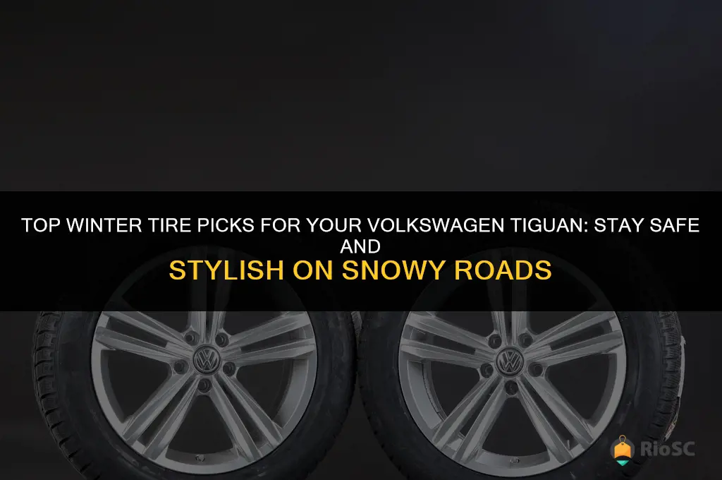 best winter tires for tiguan
