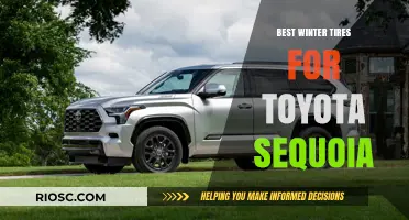 Top Winter Tire Picks for Your Toyota Sequoia: Stay Safe and Stylish on the Slopes