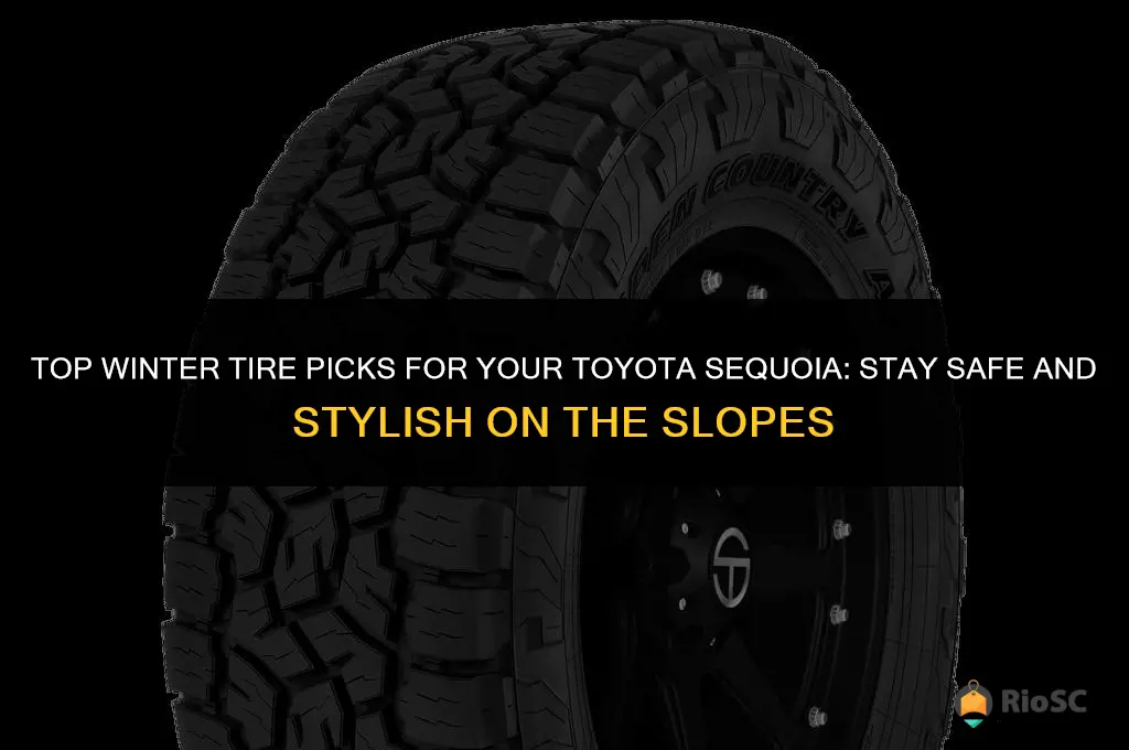 best winter tires for toyota sequoia