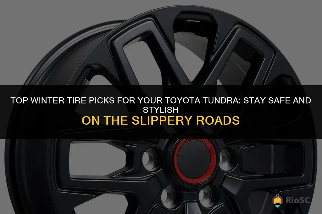 best winter tires for toyota tundra