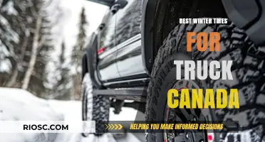 Top Winter Tires for Trucks in Canada: Stay Safe on Snowy Roads