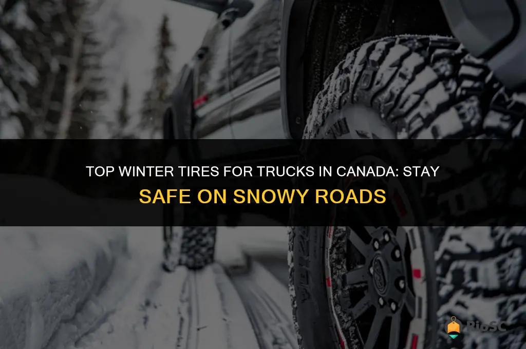 best winter tires for truck canada