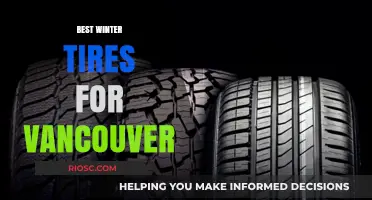 Top Winter Tires for Vancouver: Stay Safe on the Road This Season
