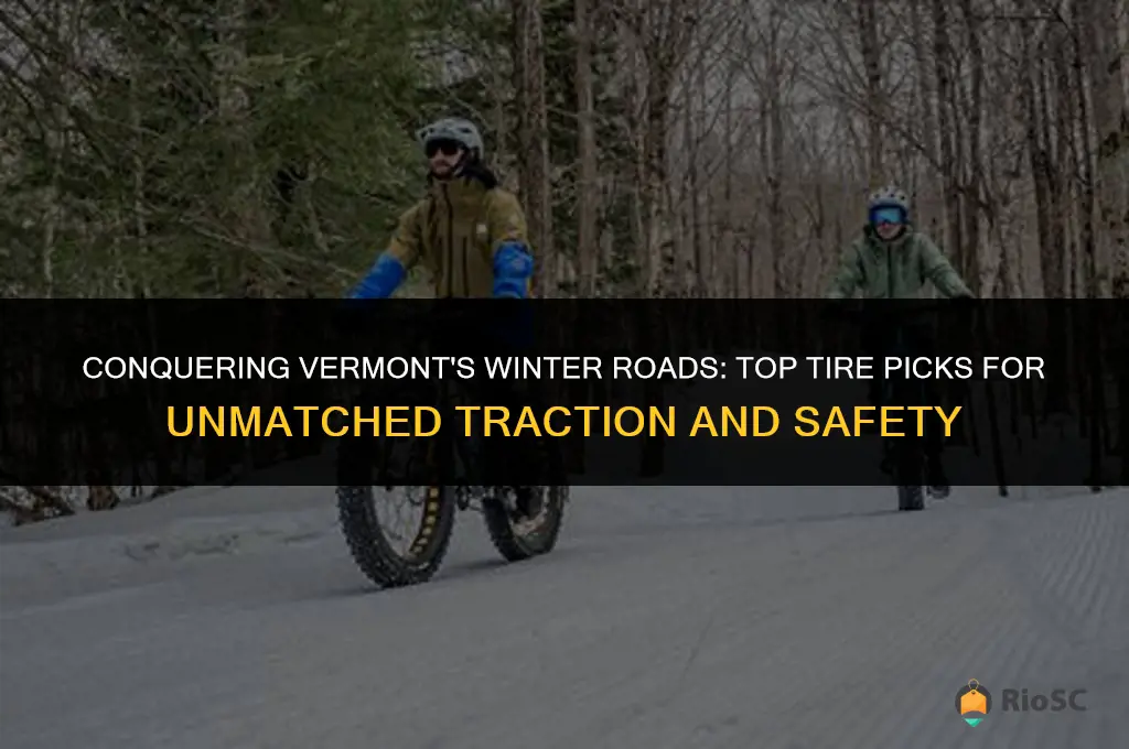 best winter tires for vermont