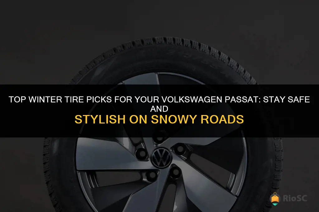 best winter tires for volkswagen passat