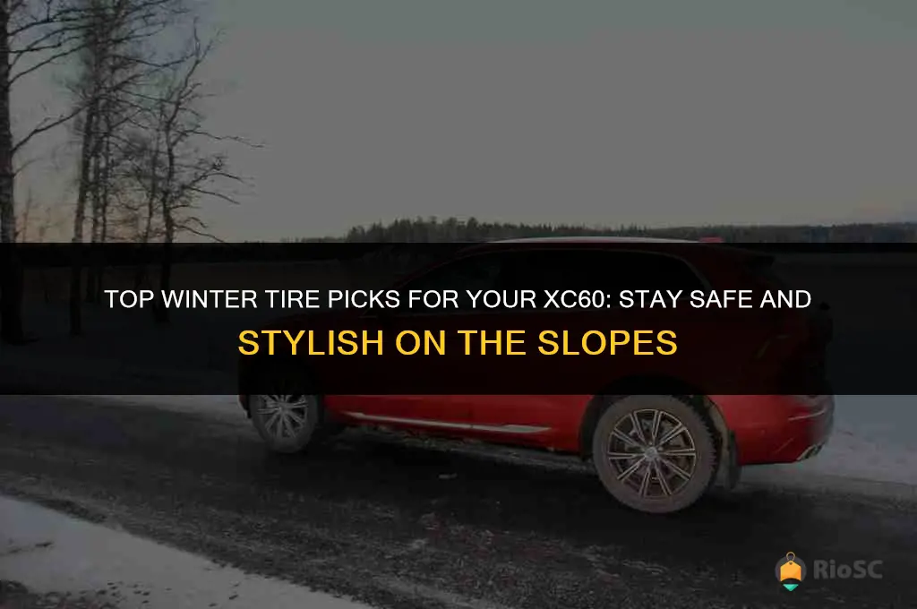 best winter tires for xc60