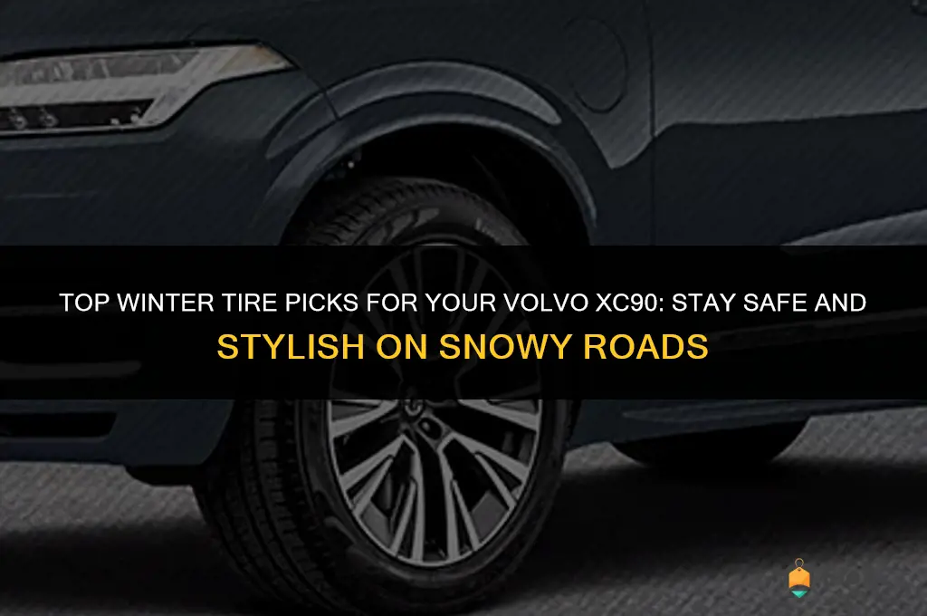 best winter tires for xc90