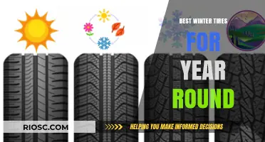 Top Winter Tires for Year-Round Performance: Stay Safe and Smooth on Any Road