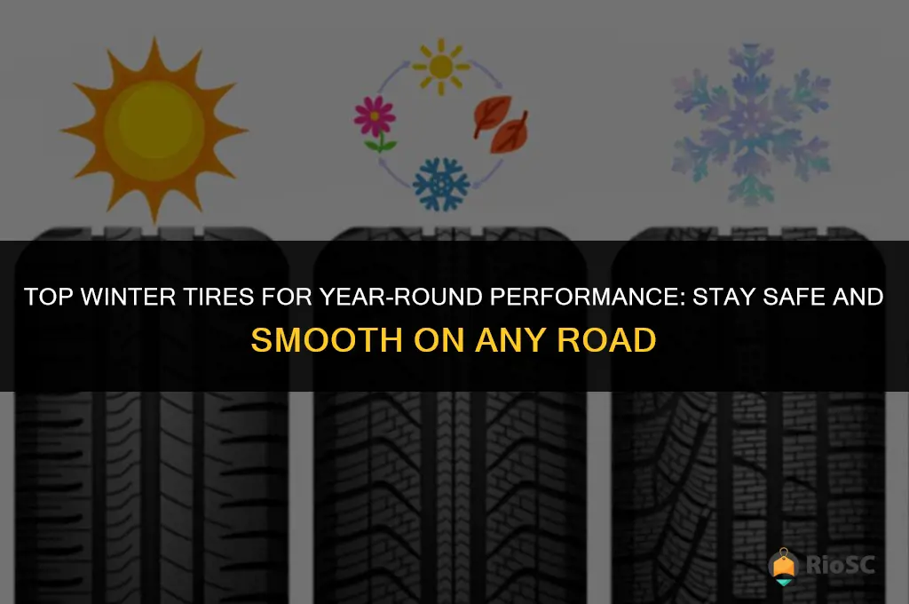 best winter tires for year round