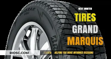 Top Winter Tire Picks for Your Grand Marquis: Stay Safe and Stylish on Snowy Roads