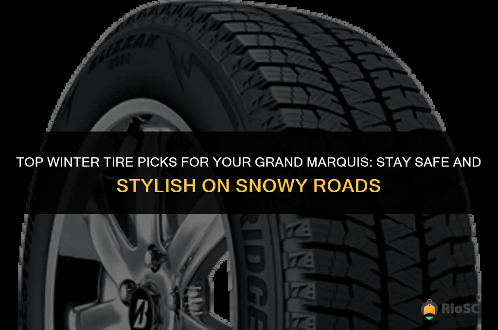 best winter tires grand marquis