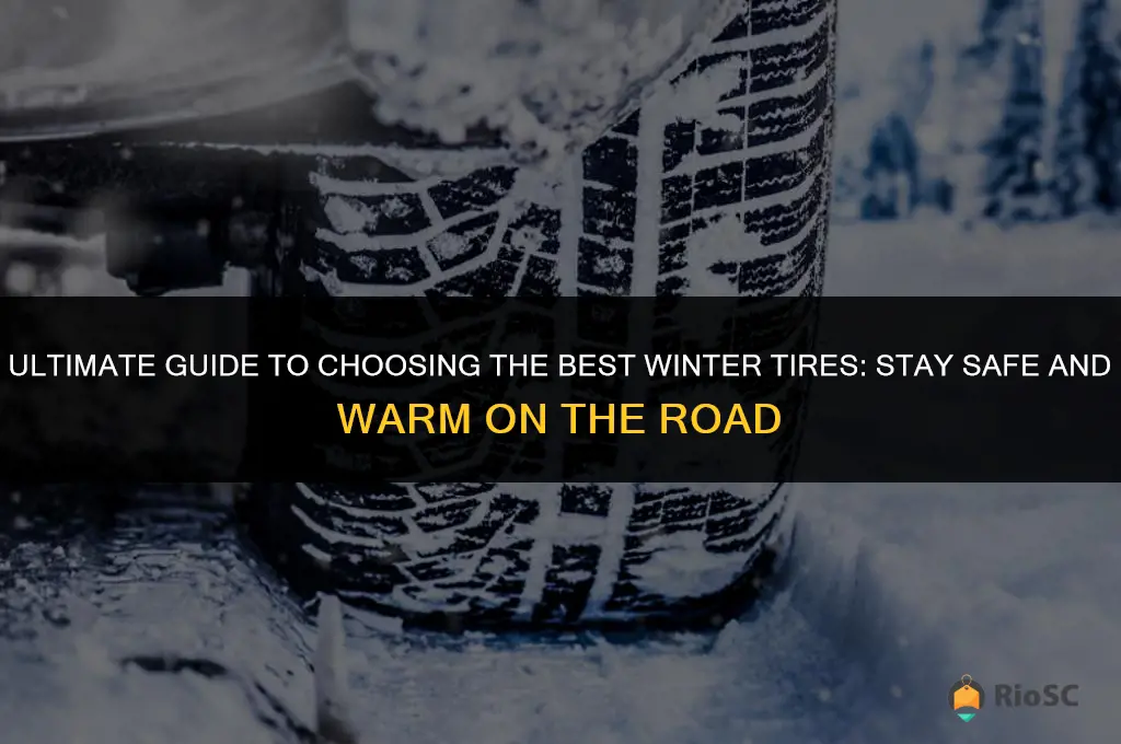 best winter tires guide