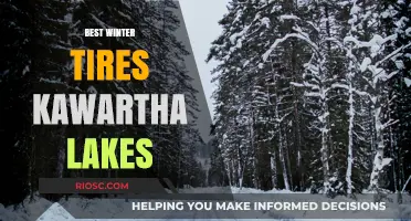 Top Winter Tire Picks for Safe Driving in Kawartha Lakes
