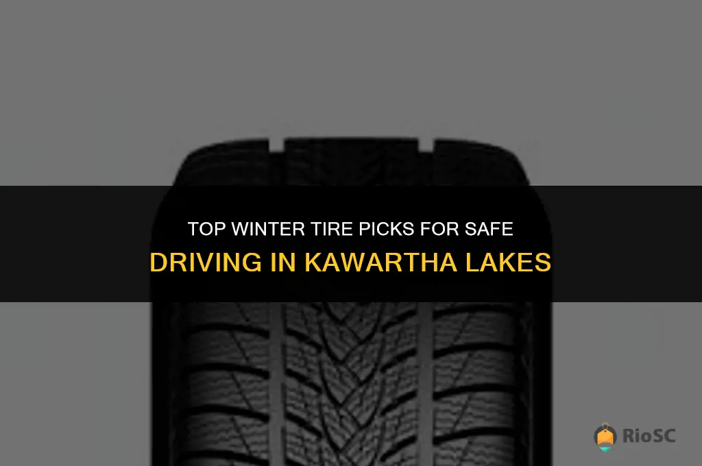 best winter tires kawartha lakes