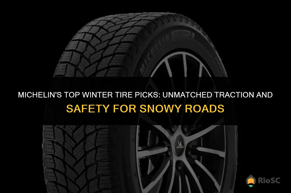 best winter tires michelin