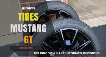 Top Winter Tire Picks for Your Mustang GT: Stay Safe and Stylish on the Slippery Roads