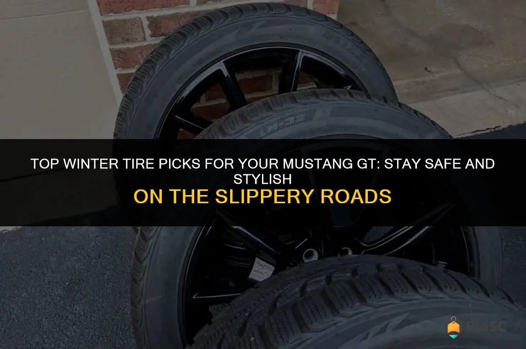 best winter tires mustang gt