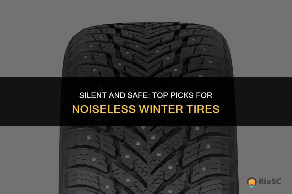 best winter tires noiseless