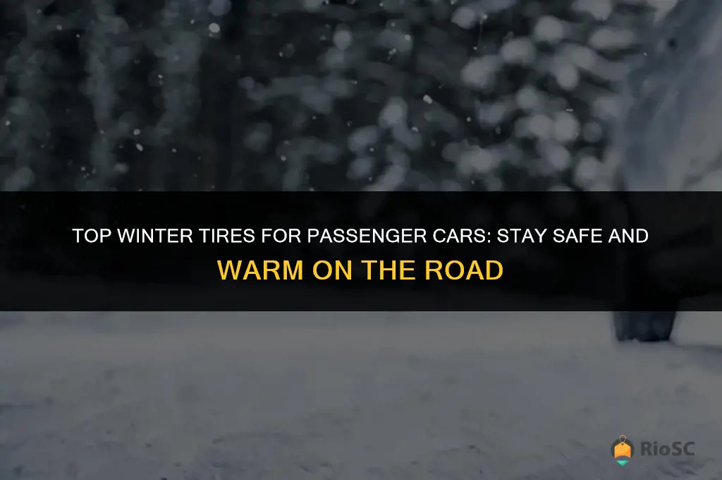 best winter tires passenger car