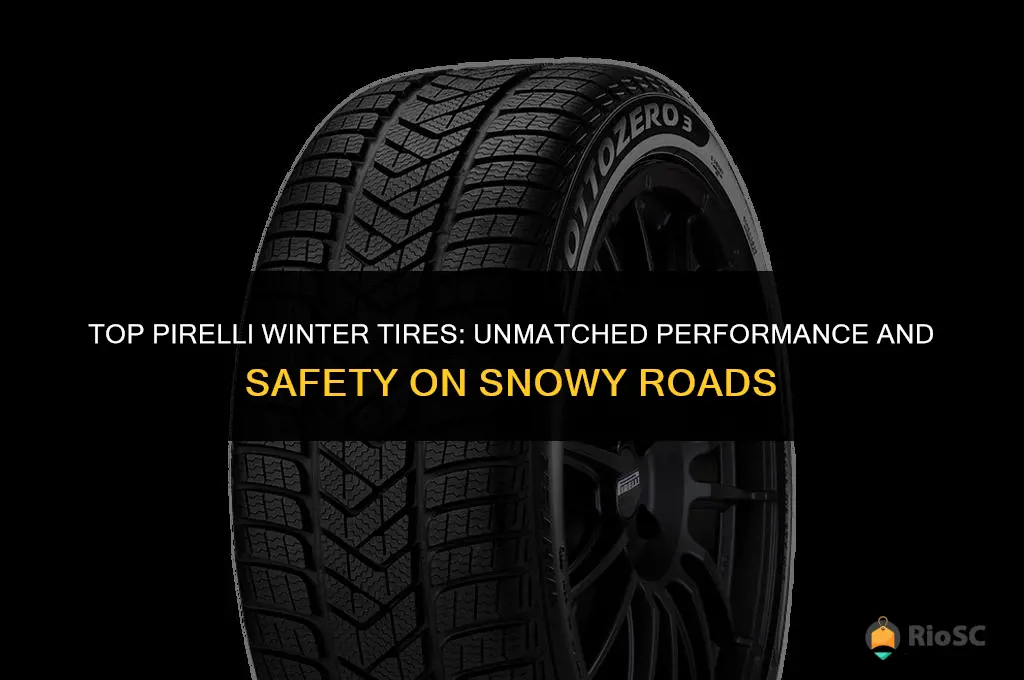 best winter tires pirelli