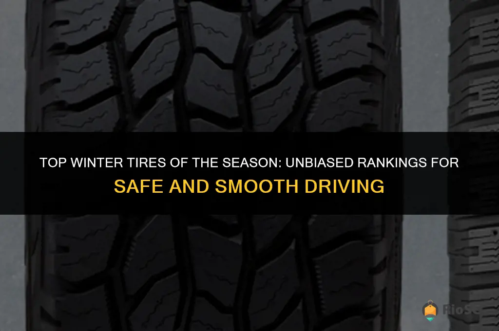 best winter tires ranking