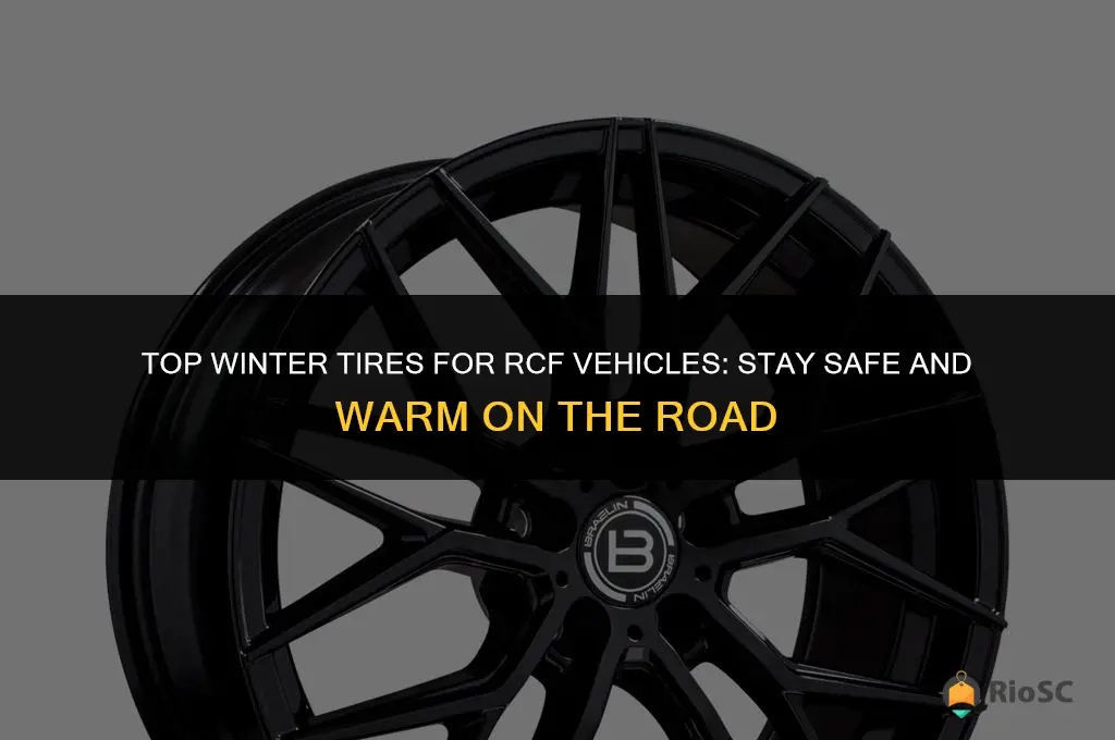 best winter tires rcf