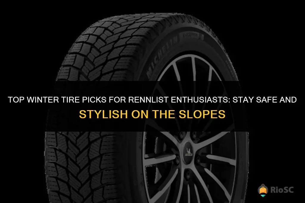 best winter tires rennlist