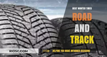 Top Winter Tires for Road and Track Performance: Stay Safe and Swift in Snowy Conditions