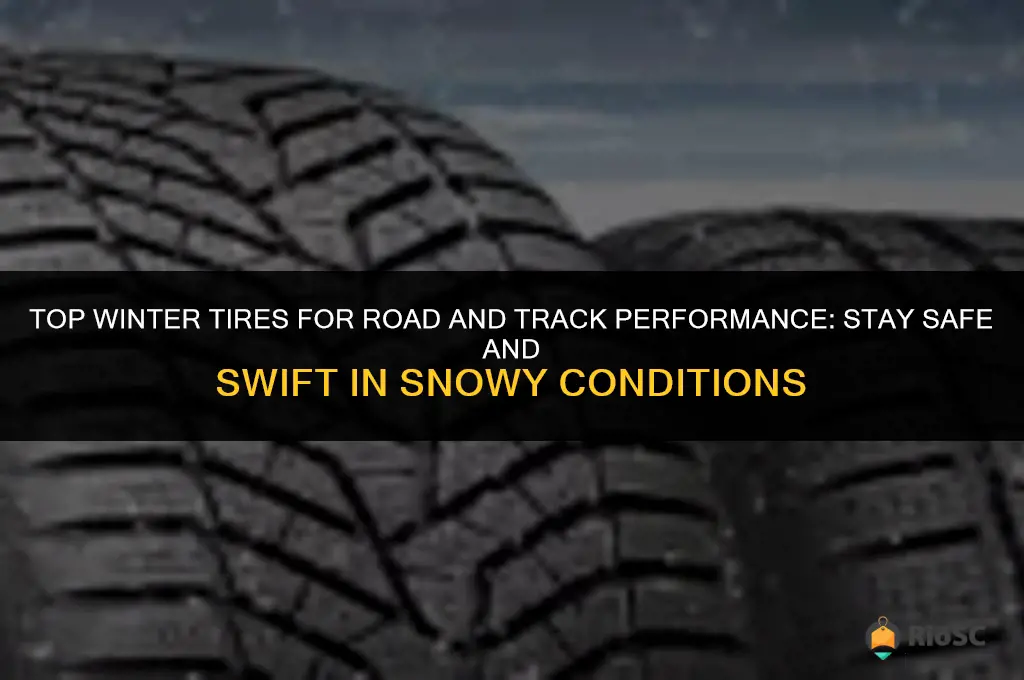 best winter tires road and track