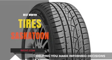 Top Winter Tires for Saskatoon: Stay Safe on Icy Roads