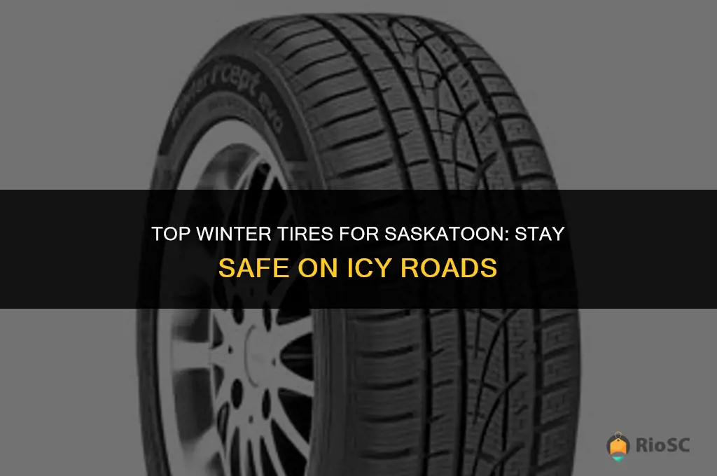 best winter tires saskatoon