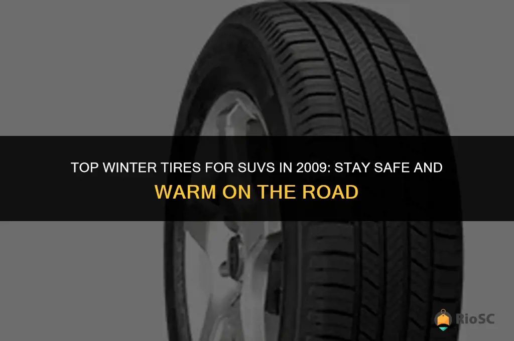 best winter tires suv 2009