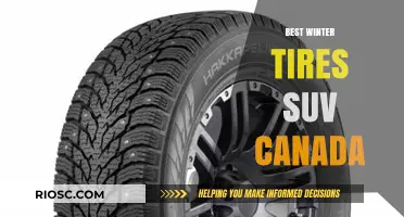 Top Winter Tires for SUVs in Canada: Stay Safe and Warm on the Road