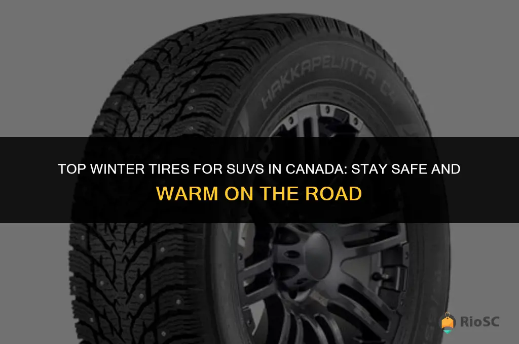 best winter tires suv canada