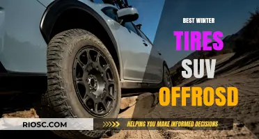 Top Winter Tires for SUVs: Unmatched Off-Road Performance and Safety
