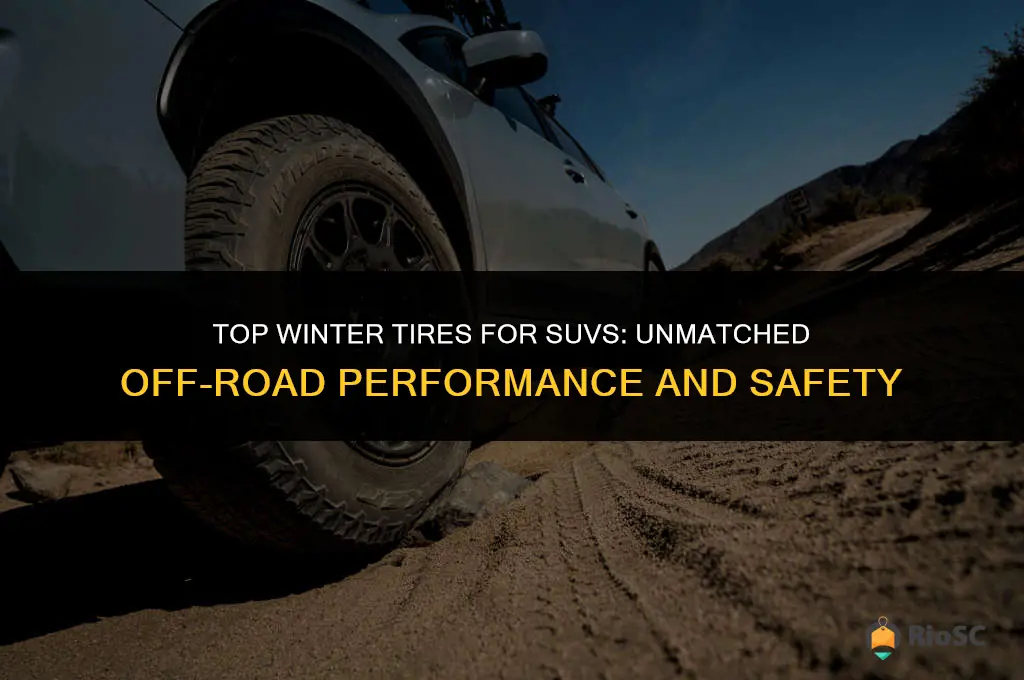 best winter tires suv offrosd